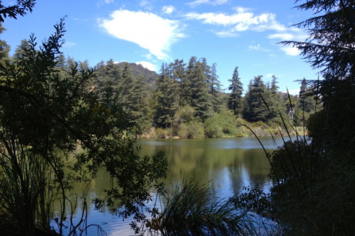 Franklin Canyon