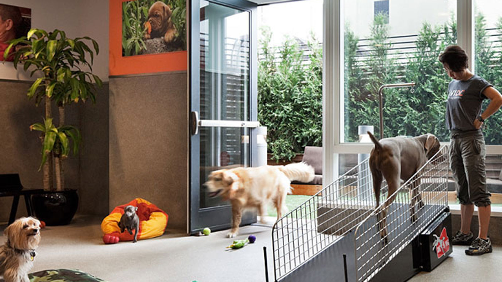 Fun, Festive And Fabulous Outdoor Amenities