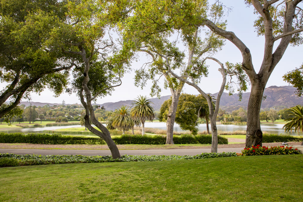 Estate Group