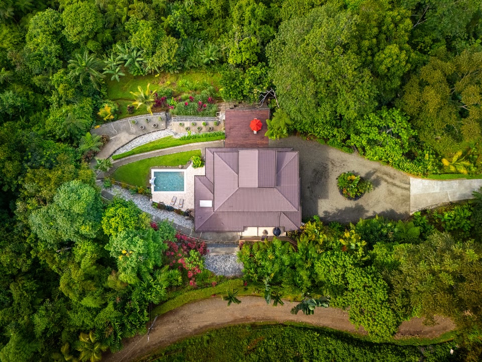 Blue Zone Realty International